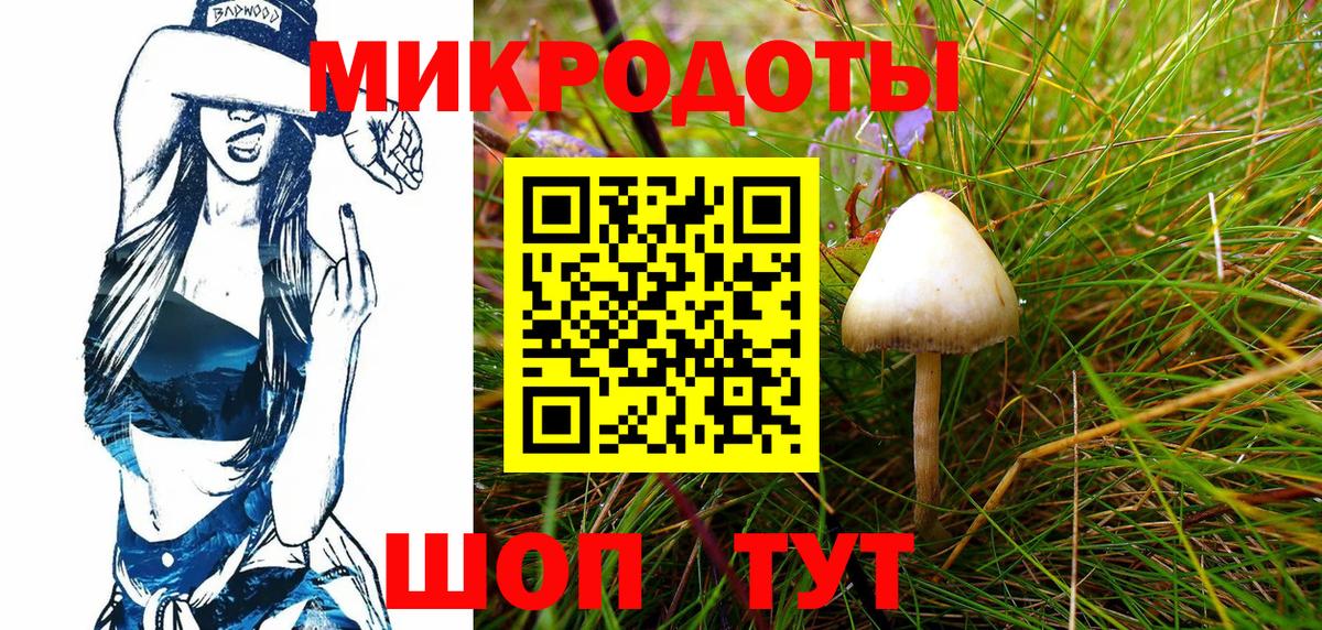 Галлюциногенные грибы Psilocybine cubensis  Вход с VPN  Псилоцибиновые грибы Psilocybine cubensis  Алексеевка 